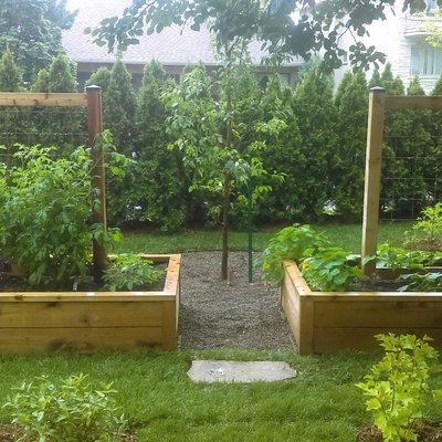 BACS DE POTAGER-1.jpg