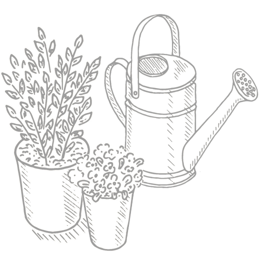 pot fleuris
